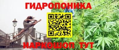альфа пвп Комсомольск-на-Амуре