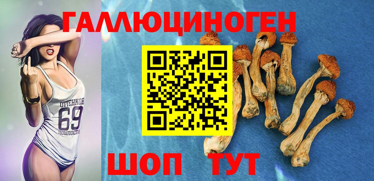 Галлюциногенные грибы GOLDEN TEACHER  Вход с VPN  где продают наркотики  Красный Сулин  Галлюциногенные грибы ЛСД 